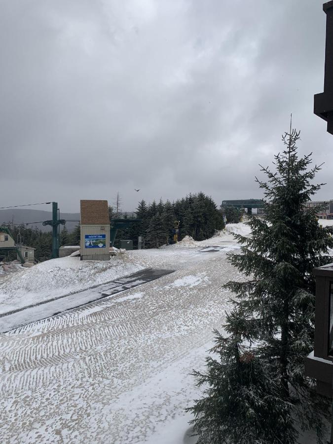 Highland House 207 Slopeside, Village Area, Ski In Out 斯诺肖 外观 照片