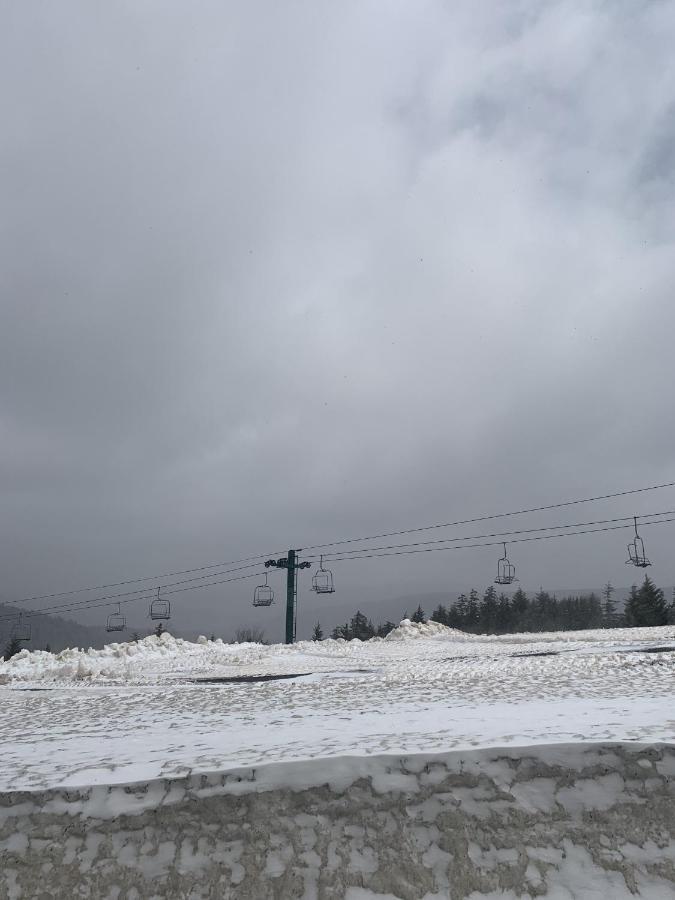 Highland House 207 Slopeside, Village Area, Ski In Out 斯诺肖 外观 照片